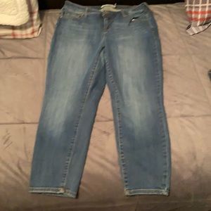 Torrid Jeans